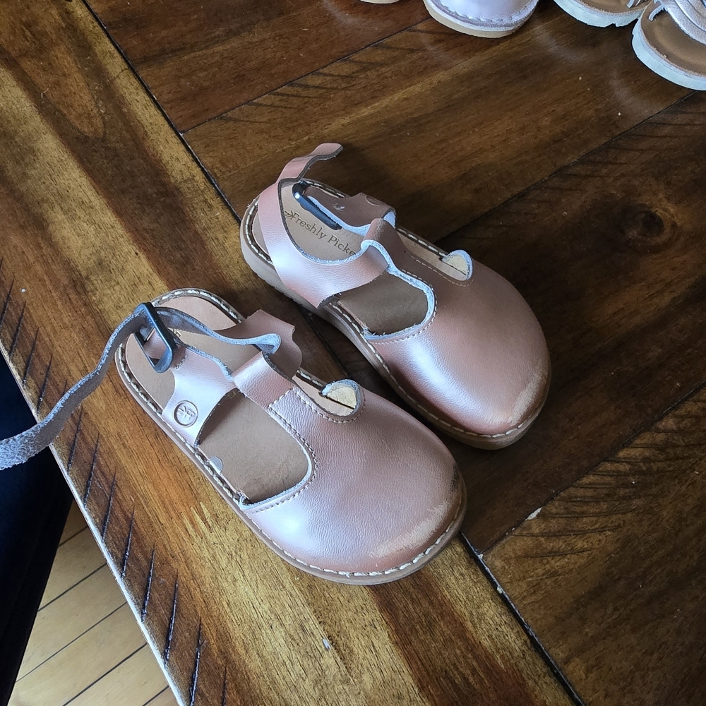 Freshly Picked Rose Gold Newport Clog
